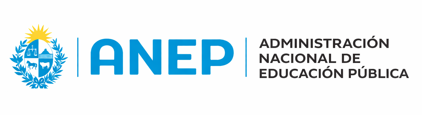 Logo PAEMFE / ANEP